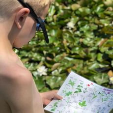 Groene Kinderopvang