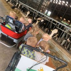 Groene kinderopvang