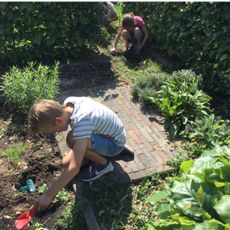 Groene kinderopvang