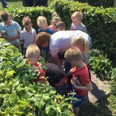 Groene kinderopvang