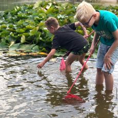 Groene Kinderopvang